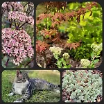 Gartenblick - Gemuetliche 95qm Mit Eigenem Garten