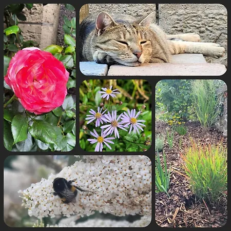 Gemütliche 95qm Mit Eigenem Garten