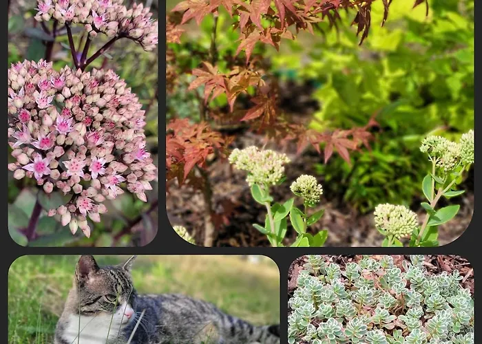 Gemütliche 95qm Mit Eigenem Garten