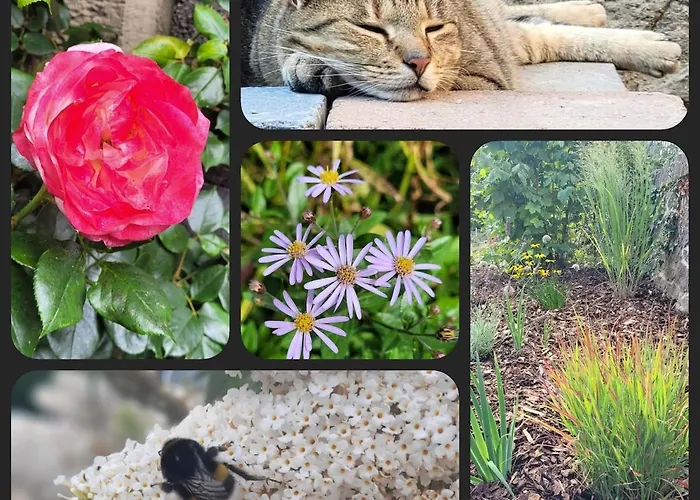 Gemütliche 95qm Mit Eigenem Garten